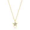 YCL039 - STAR NECKLACE - CHARMS AYLA